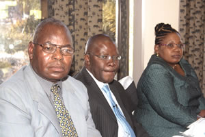 Cabinet considers ZSE project