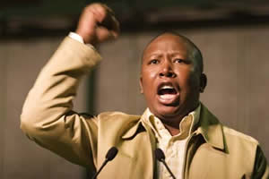 Malema’s party calls for Zanu-PF vote