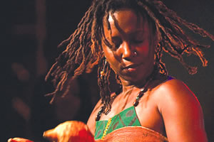 Zim film festival opens today