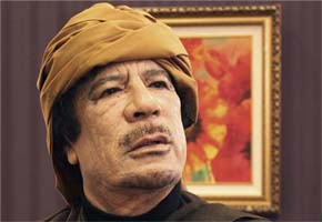 Gaddafi shot dead