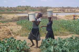 Project greens Kebvunde, raises cash