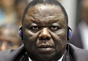 Tsvangirai is taking us for granted: Mat South