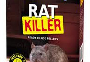 Teacher found dead