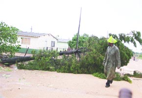 Storm leaves trail of destruction