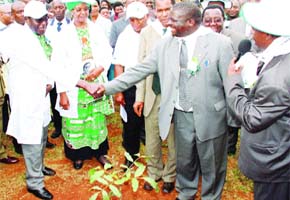 President calls for accelerated tree-planting