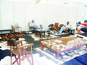 Nguni cow skin has special qualities
