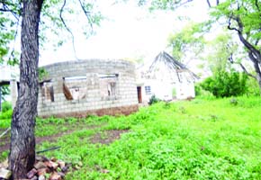 Man shoots family, self dead