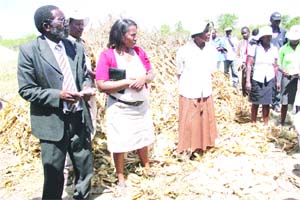 Renowned farmer expects bumper harvest
