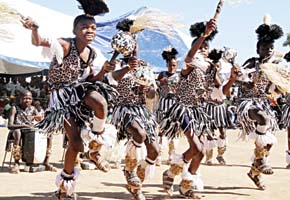 250 teachers taught amabhiza dance at Amakhosi