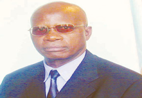 Chinamasa speaks out on draft constitution
