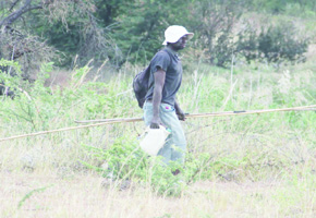 Residents risk poisoning