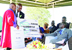 Mat South firms cede shares