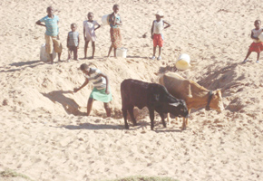 We regret choosing MP Ndebele: villagers