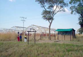 Concern over abandonment of farms