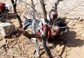 Majority of Zim deportees take up IOM assistance