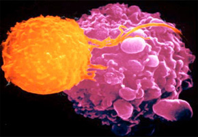 Cancer patients stranded