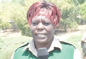 Parks authority embarks on awareness campaign