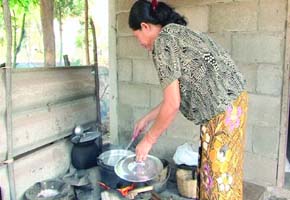 Household air pollution fuels pneumonia
