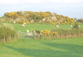 State takes over farm rentals, tax collections