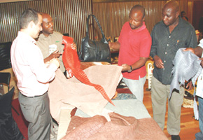 Leather industry records 91pc production decline