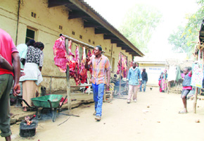 Tongogara Camp — a home away from home