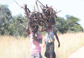Environmental degradation a worrying trend