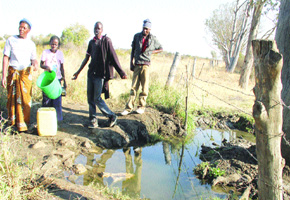 City’s borehole water unsafe