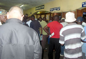 Professionals flock back home