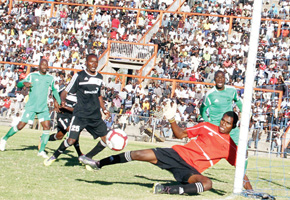 Quelaton bruise Bosso pride