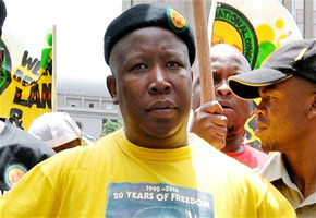 Malema faces bankruptcy