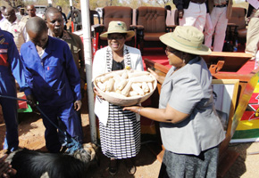 Legislators urged to be hands-on