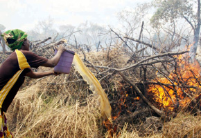 Veld fires destroy huge tracts of pasture in six days