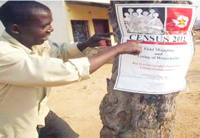 Census survey progressing smoothly: Zimstat