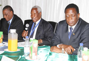 Zim-Bots defence commission denounces sanctions