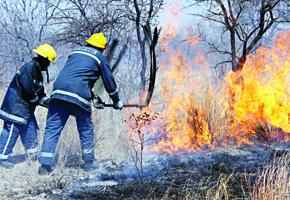 Veld fire destroys nature reserve