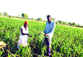 ARDA estates must benefit local communities