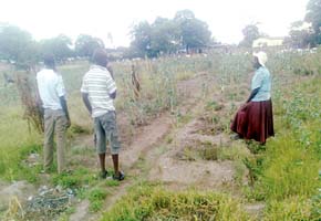 Residents urged to utilise community gardens