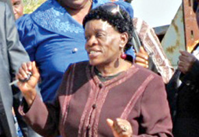 War vets deny fighting over diamond mine