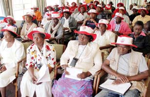 Farmers start relocating cattle