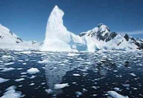 Arctic sea ice shrinks to lowest ever level