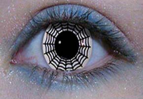 Contact lens users at risk of eye-devouring amoeba