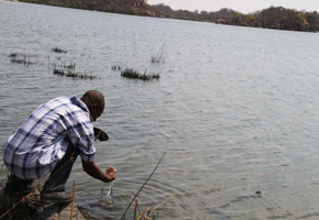 Council mulls using Khami Dam water
