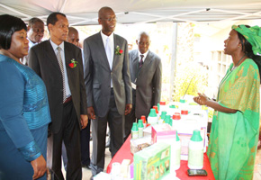 $2bn a year needed to revive agricultural sector