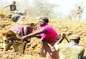 Shangani gold fever quickly spreads