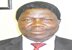 Council avails 10 000 stands