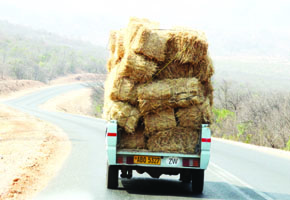 Stock feed delivery to Mat South begins