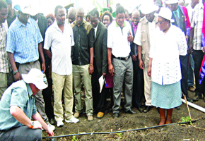 Govt sets up committee on food and nutrition