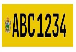 Govt to slash licence plates prices