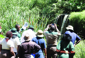 BCC major polluter of Umguza River — EMA