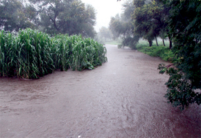 Hugh Beadle pupil swept away by flooded Mazayi River